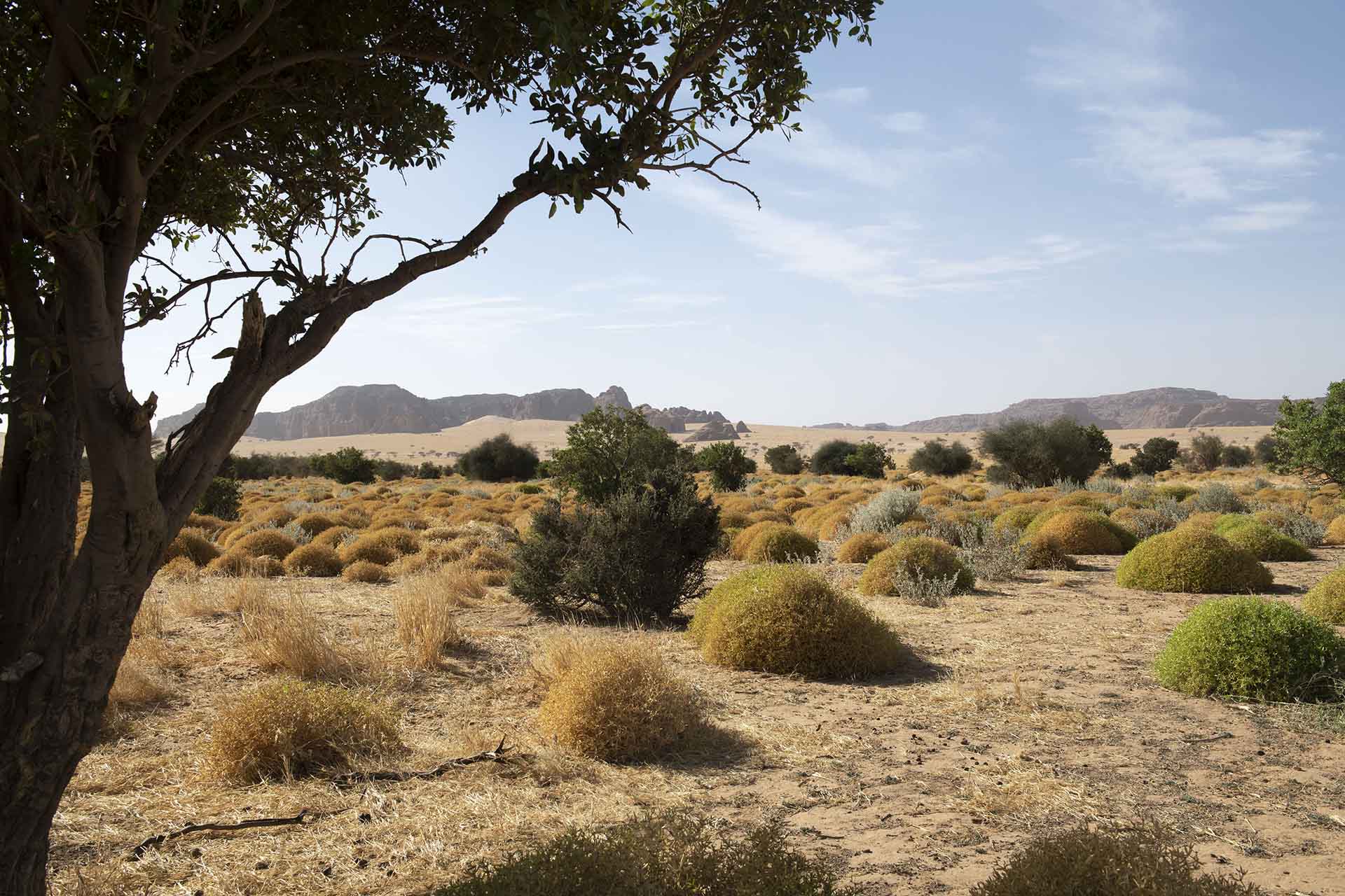 tsjaad ennedi 7442ahb web.jpg